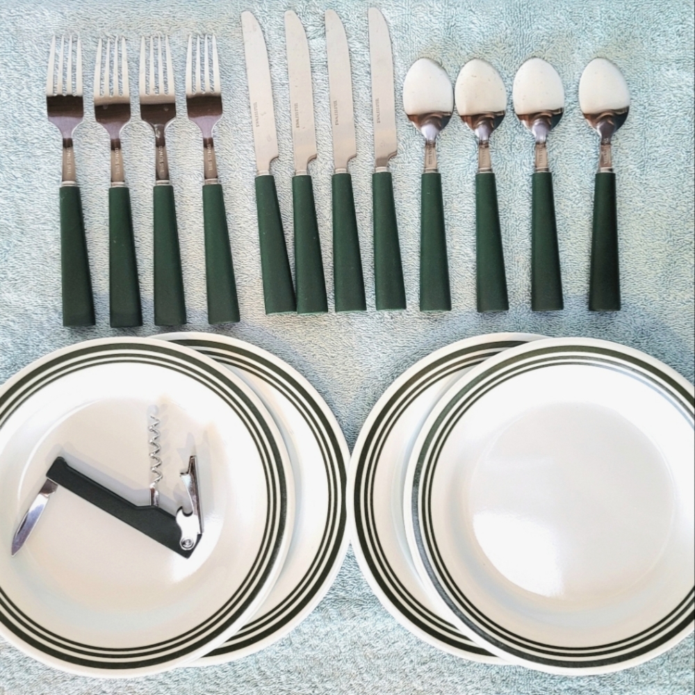 Stainless Steel Flatware and Plastic Plates - Setting for Four